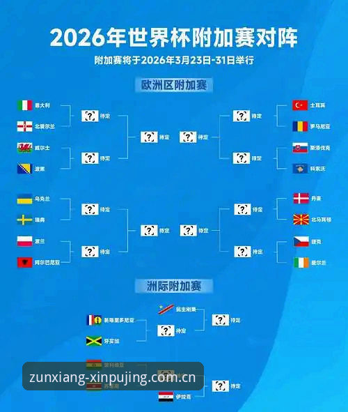 世界杯签证危机 vs. 赛事热度：一场跨越国界的观赛博弈